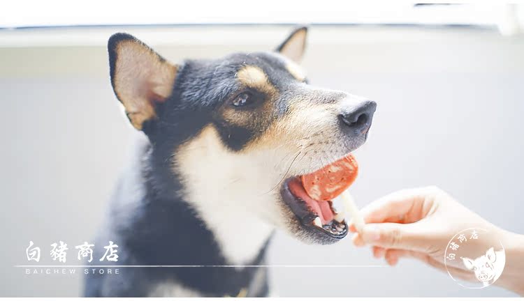 White Pig Shop Nhật Bản Doug Man Thịt bò Cheese Cheese Pet Snack Dog Snack Phần thưởng - Đồ ăn vặt cho chó thức ăn chó royal canin