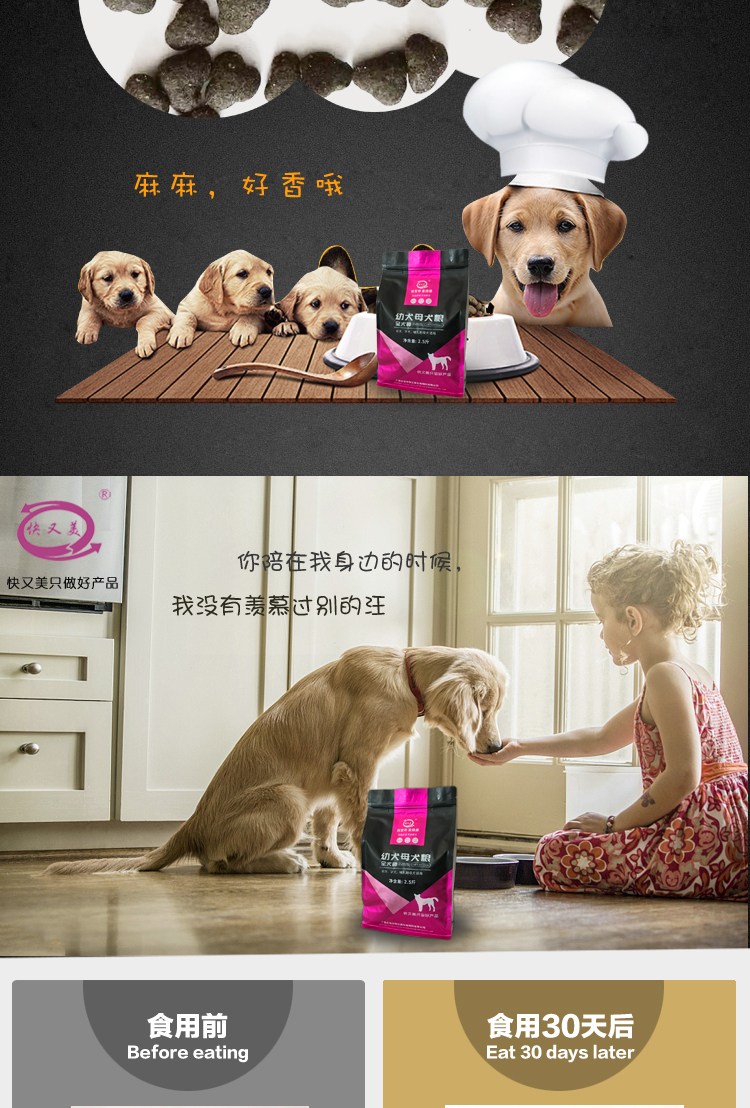 Bánh sữa trứng lòng đỏ, cho con bú, gấu bông, lông vàng, gấu, gấu, chó con, chó con, thức ăn cho chó, mang thai nói chung, chó cái cho con bú - Chó Staples thức ăn hạt cho chó poodle