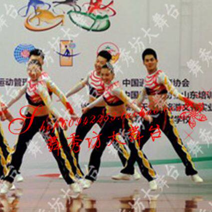 2014 New hot-pin adult toddler fos aerobatics cheerleader and race suit 01242