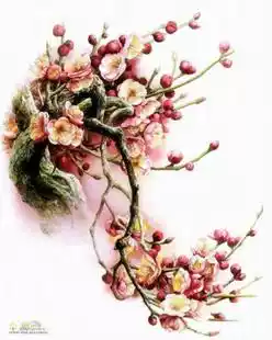 Cross stitch source file electronic drawings heavy drawing beautiful mixed color mixed embroidery meticulous plum blossom