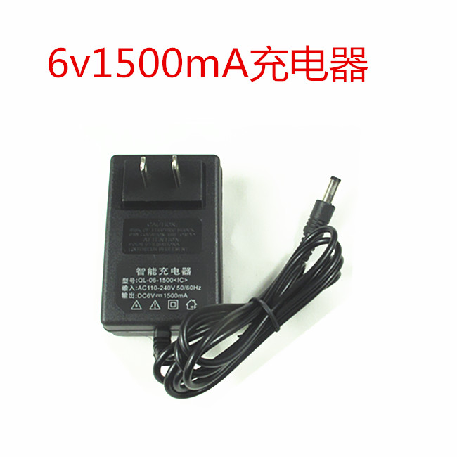 Купить Зарядное Для Детского Электромобиля 6v