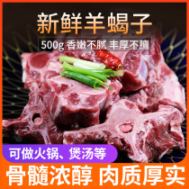 Sheep scorpion fresh sheep neck bone 500g fresh raw mutton sheep spine lamb chops non-vacuum