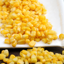 Cooked frozen sweet corn grain 200g fresh corn healthy and delicious
