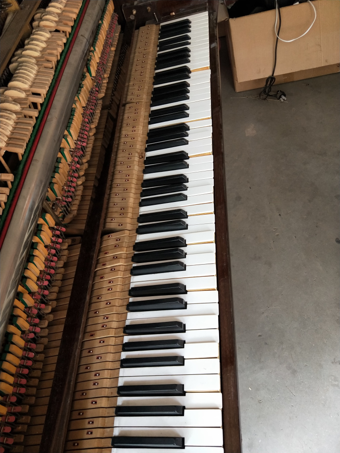 Nguồn hàng chính của Hồng Kông Pedrofu piano yamaha ydp 103