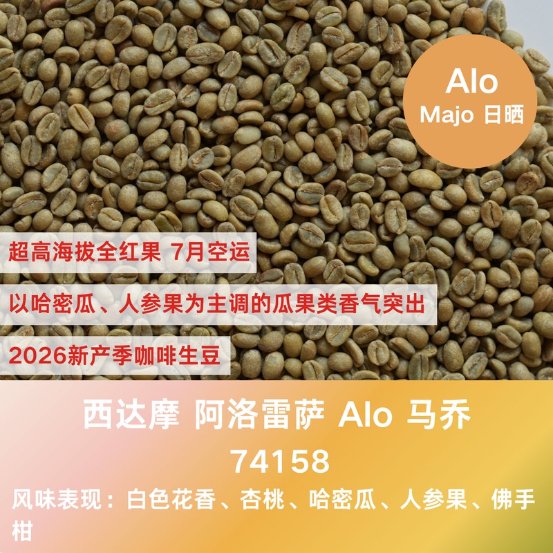 26 New Crop Season Coffee Beans Ethiopia Sidamo Alo Majo 74158 Sun-Dried Picked by Hand 26 New Crop Season Coffee Beans Ethiopia Sidamo Alo Majo 74158 Sun-Dried Picked by Hand