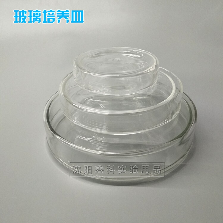 细胞细菌培养皿生物实验玻璃平皿耐高温实验室耗材透明实验器皿