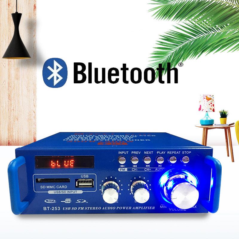 Mini 12V 220V Radio Card U Disk Power Amplifier Computer Speaker Power Amplifier Home Car Audio