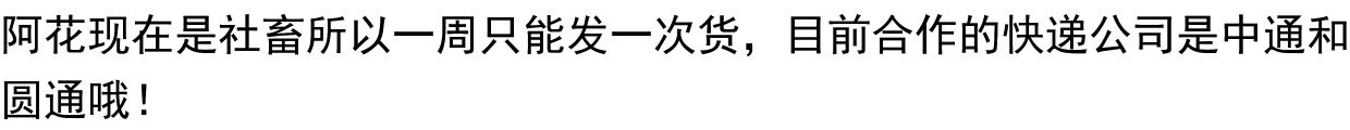 棉花娃娃/毛绒玩具娃衣 现|团兵文利【进击的巨人】汤老师的团兵属性痛包