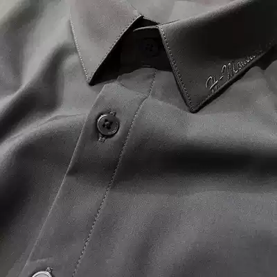 Men's shirt men's long sleeve spring and autumn high-end slim 2021 New Business Senior shirt men's trend free ironing men's