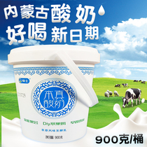 Knight Benzen Yogurt 900g Bucket Breakfast Milk Probiotics Low Temperature Inner Mongolia Refrigerated Flavor Fermented Milk