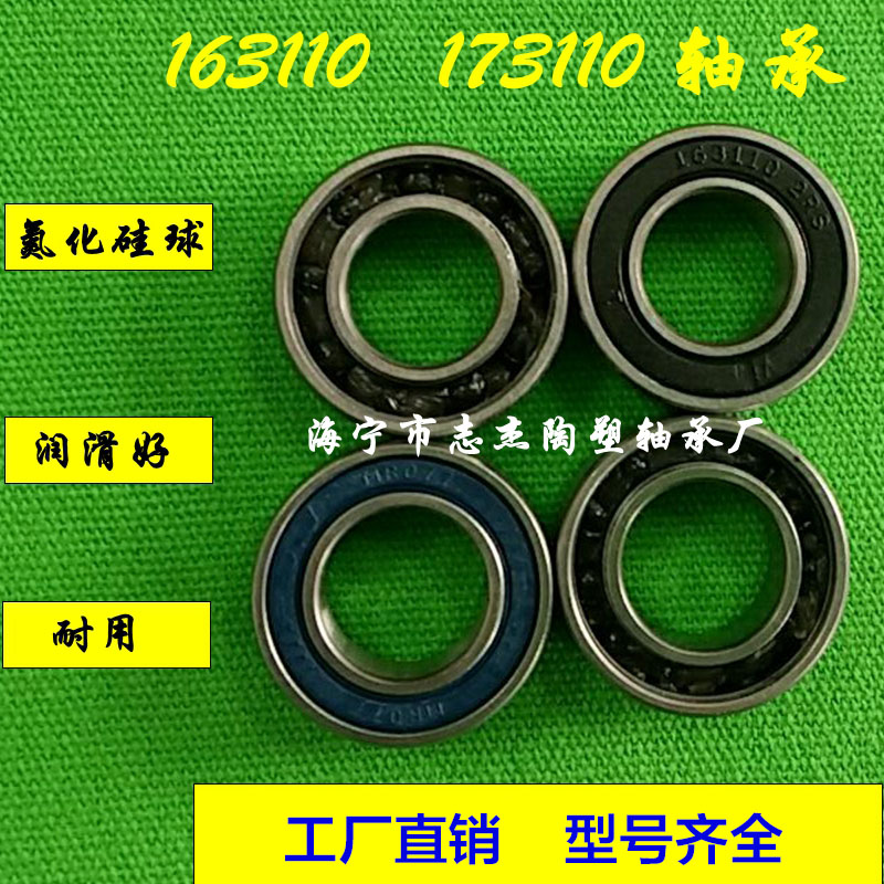 Special bearing 163110-2rs 173110-2RS 173110-2rs bearing steel silicon nitride ball