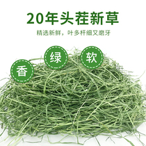 Quality Timothy Moshe grass 500g Rabbit dried grass Timothy Moshe Grass Rabbit Dragon Cat Dutch Pig Grass Grain
