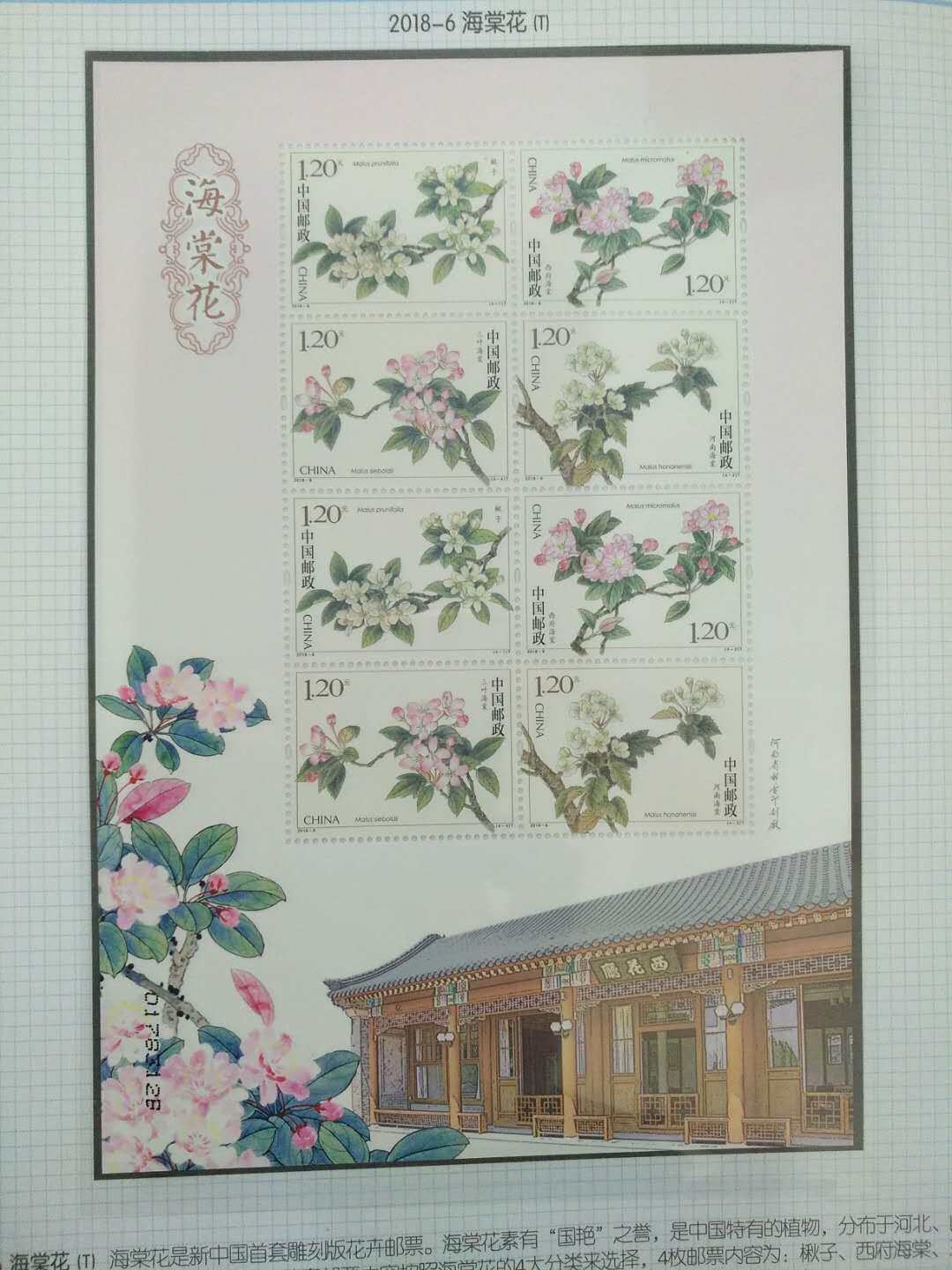 2018-6 BEGONIAS FLOWER STAMPS SMALL EDITION (full package true) -Taobao