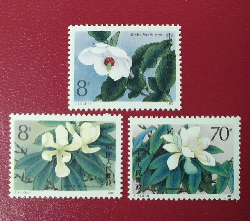 T111 Rare and Endangered Mulanco Plant Stamp - Raw Rubber All Products