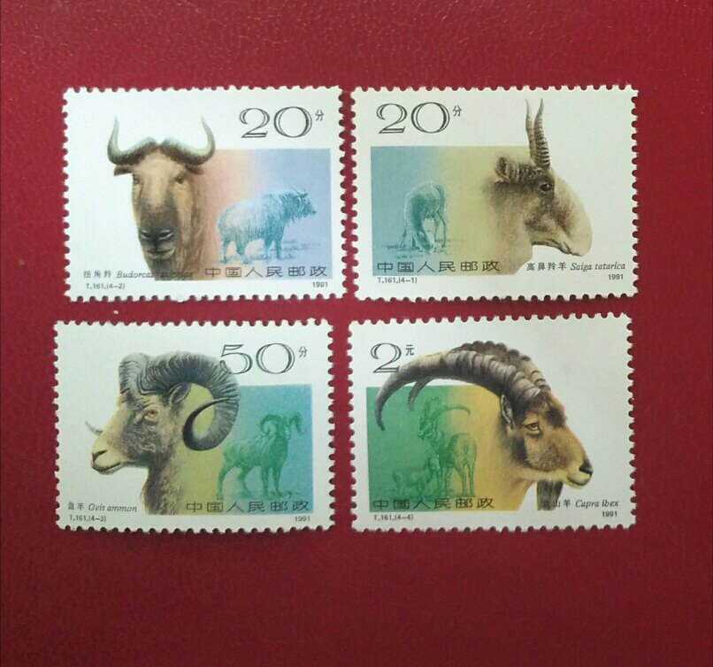 T161-The original glue of the wild goat stamps