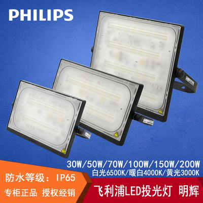 Philips, светодиодный прожектор, дорожный водонепроницаемый светильник, туннель, уличная лампа, 17x