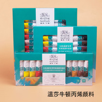 Model hand-made sculpture with paint American soil SCULPEY special British Windsor Newton acrylic coloring