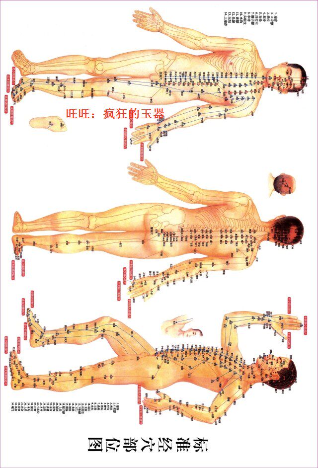 Bianstone scraping board Bianstone scraping acupoint map