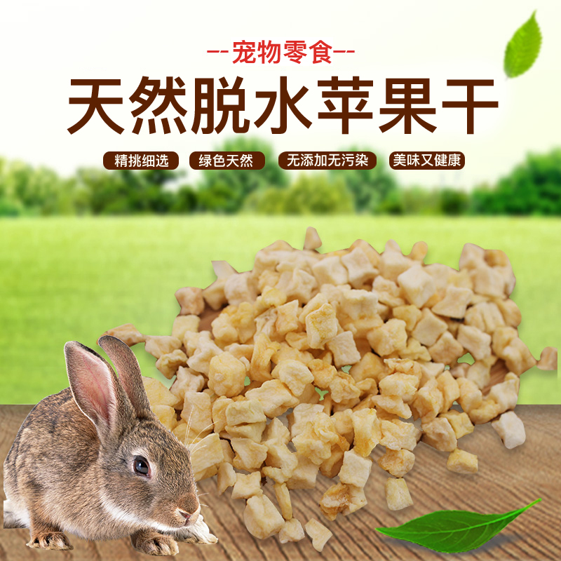 Hot Selling Homemade Chinchilla Hamster Bunny Guinea Pig Apple Dried Apple 50G