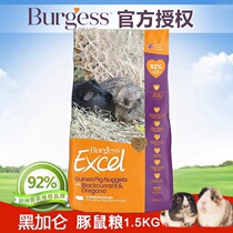 现货Burgess布格斯高纤维黑加仑牛至豚鼠粮荷兰猪饲料24年9月