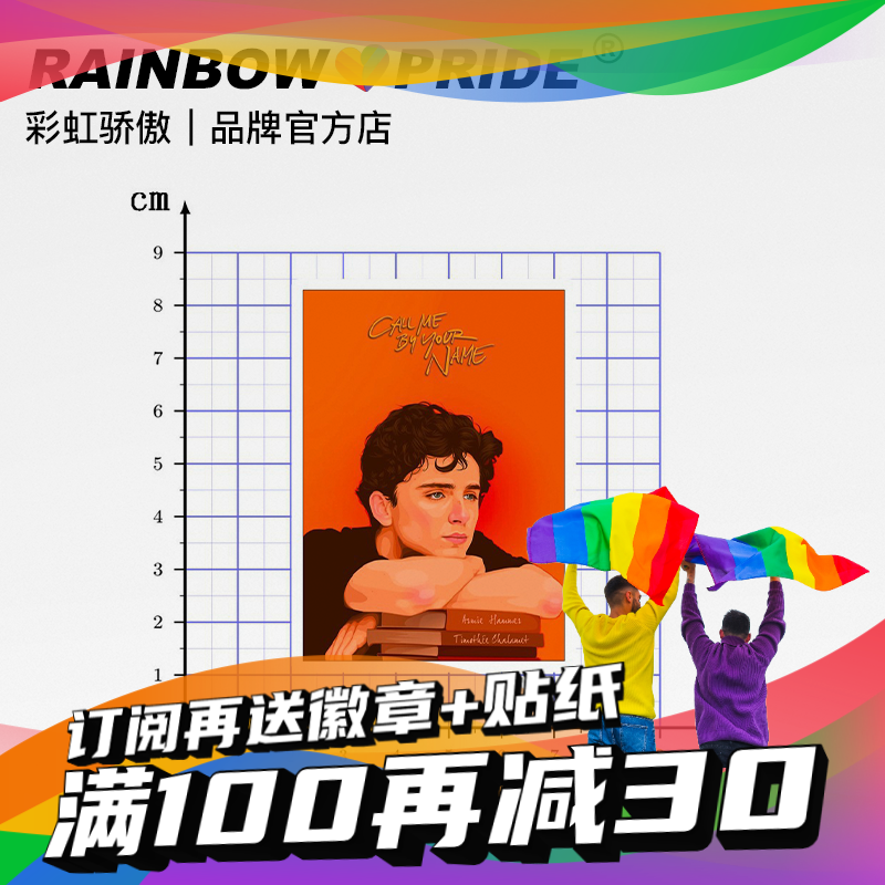RainbowPride Please call me by your name 25 MOVIE POSTER STICKER PVC WATERPROOF WISH