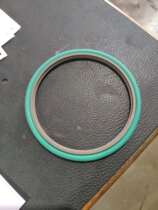 trelleborg Terrebborg B S combined special seals RSK3 series RSK300900-T46