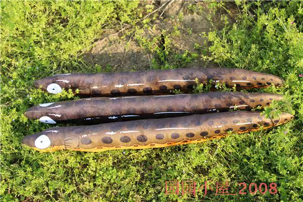 Peluche manga en peluche anguille Pippi - Ref 2694963 Image 8