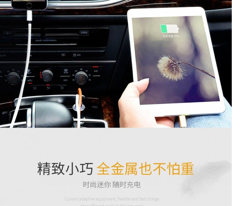 chargeur 3A, 3A - Ref 1291484 Image 27