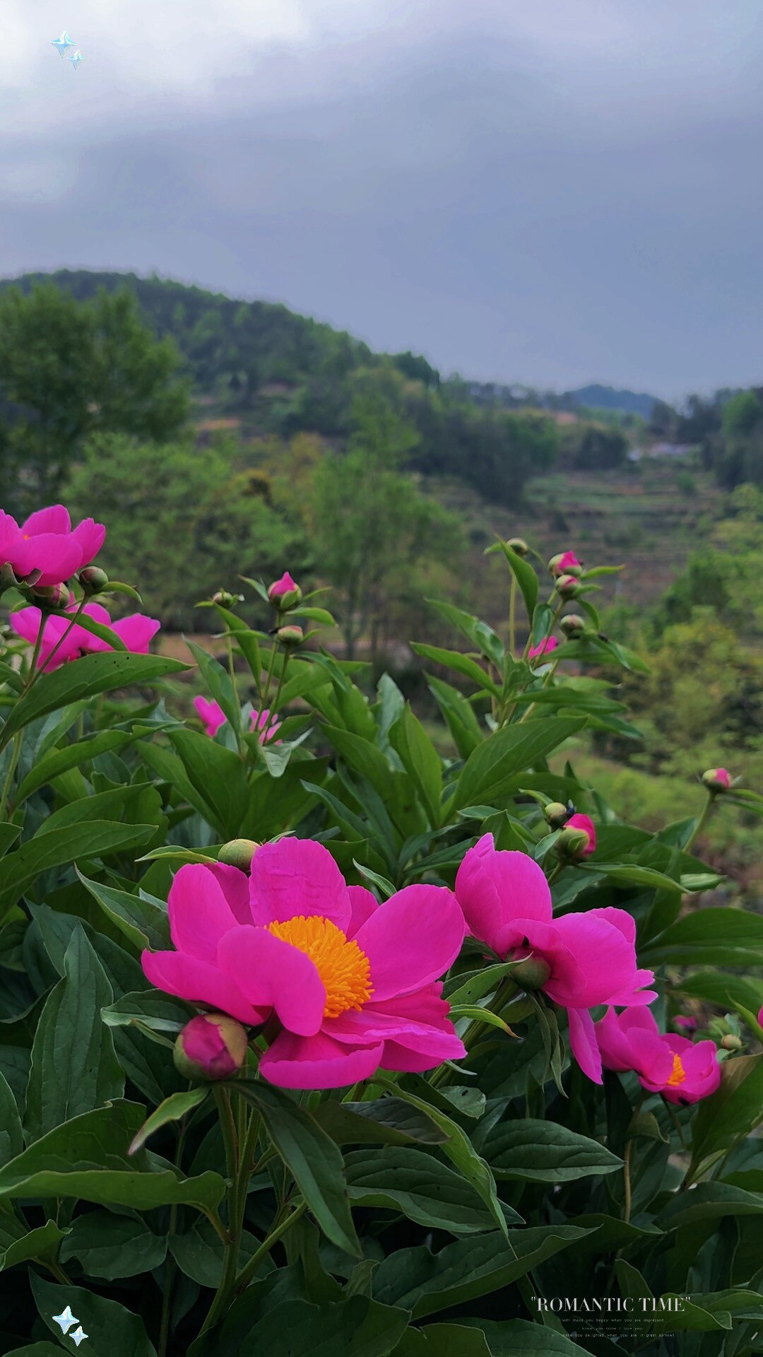 英山农特产