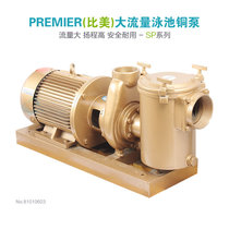  Swimming pool equipment Swimming pool circulating water pump head high flow high performance water pump Bimei SP swimming pool copper pump