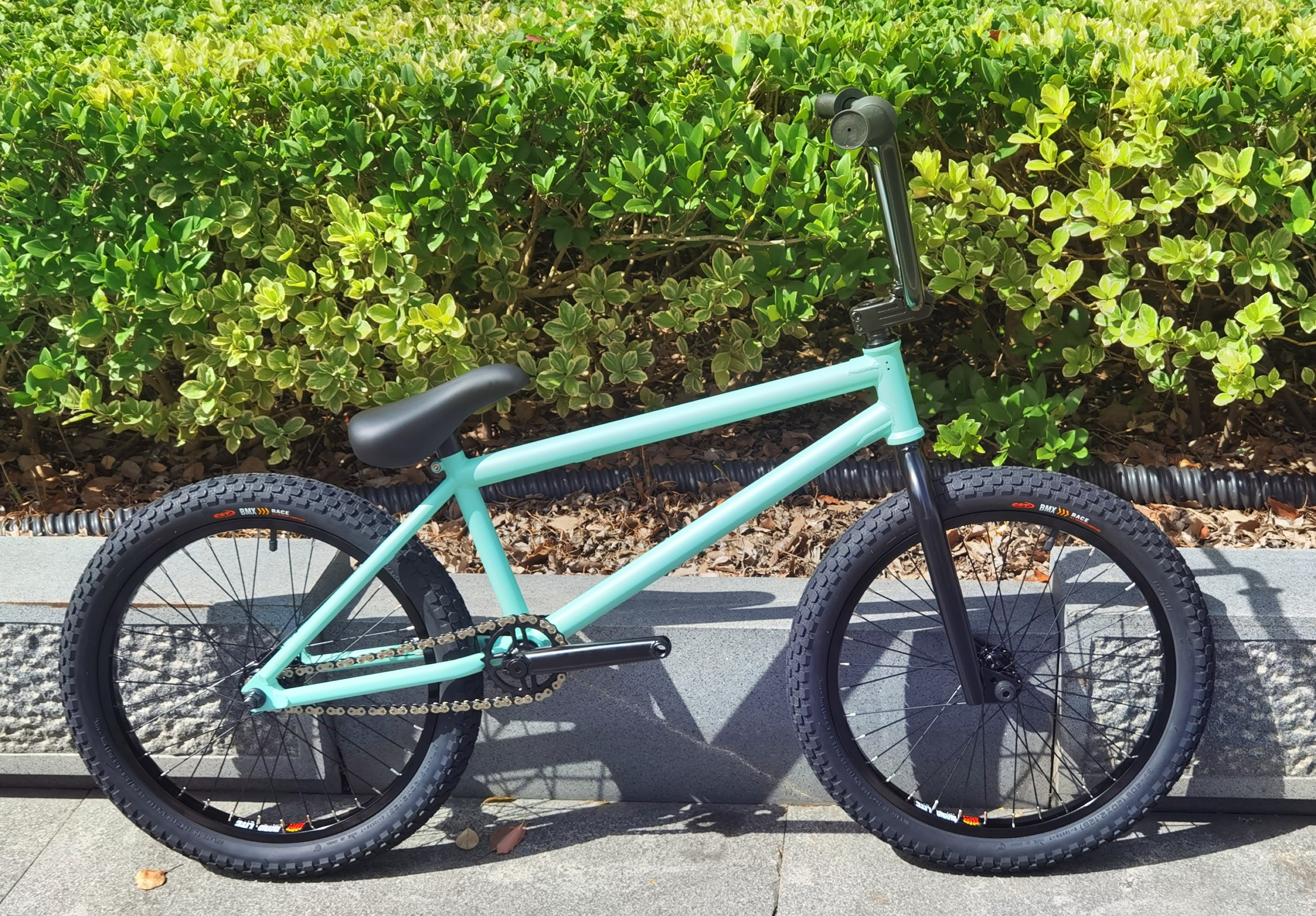 Волшебная флейта 20-дюймовый BMX BMX street bike stunt fancy performance car автомобиль начального уровня Изображение 1