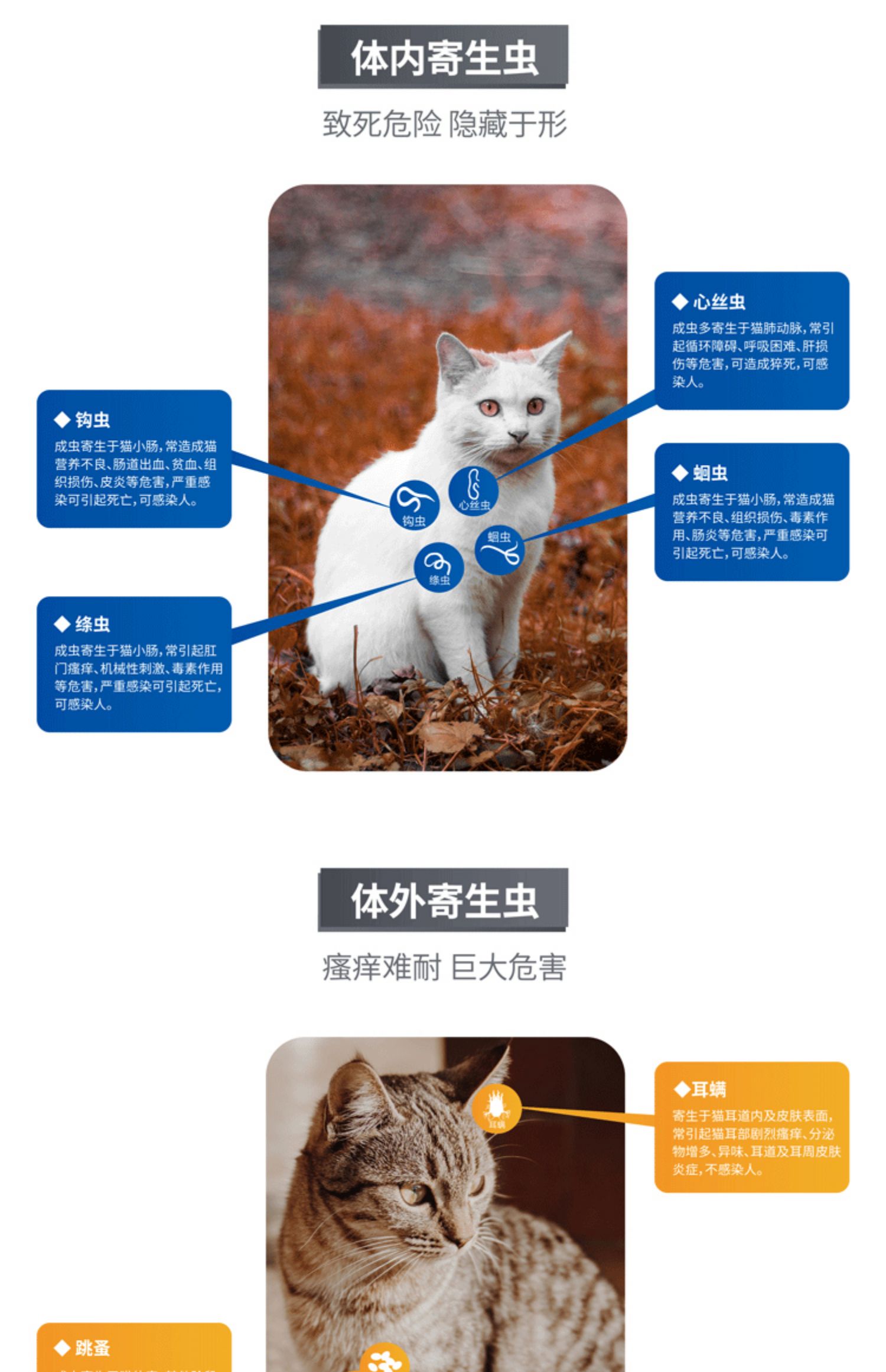 Mèo biển Le Miao cơ thể thuốc chống côn trùng rệp vừng rệp vừng 56mg thành một con mèo 2-8kg Haizheng chống giun đơn - Cat / Dog Health bổ sung Sữa dành cho mèo con mới đẻ
