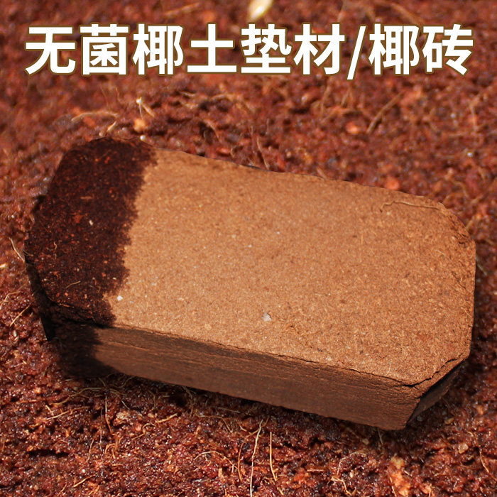 Water Turtle Half Water Turtle Tortoise Coconut Earth Mat Sterile Hibernating Red Rose Spider Coconut Broccoli