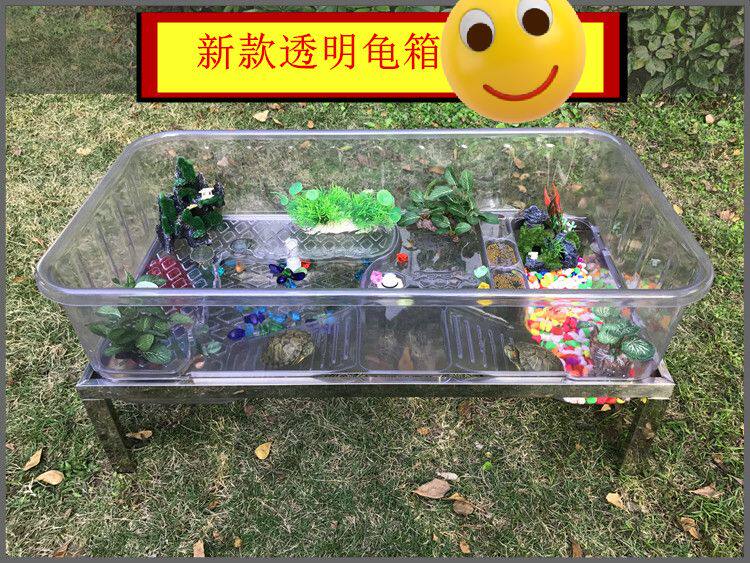 New transparent tortoise box Brazil tortoise box stone gold money tortoise tank pet tortoise box light land tortoise box turtle