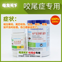 Tortoise bite stone turtle bite tail stone money money turtle untailed crawler crocodile turtle broken tail health care