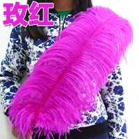 Роза красная