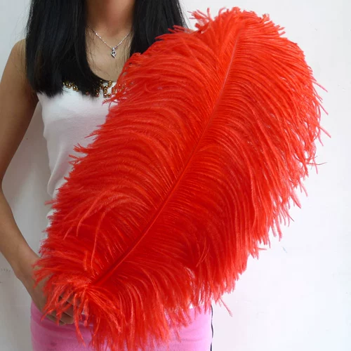 55-60 см. Широкий штурм Широп Струйт Перо карнавальный карнавальный карнавал танцевальный танце