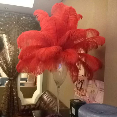 Южная Африка импортированная страус.