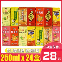 Master Kong Juice 250ml*24 boxes Peach fresh fruit Orange rock sugar Sydney Ice Black Tea Honey tea Sour plum soup drink
