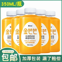 Huayang Jinmang complex fruit juice beverage full box 350ml bottle of mango flavored peach drink concentrated juice