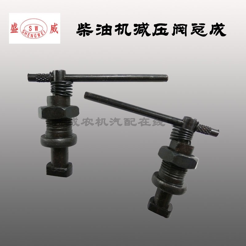 Single cylinder water cooled diesel engine Changchai everhair S195-1125 general purpose L28 L32 decompression assembly