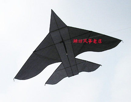 Weifang Kite Old Store