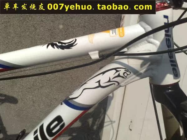 Décoration pour vélo - Ref 2282091 Image 96