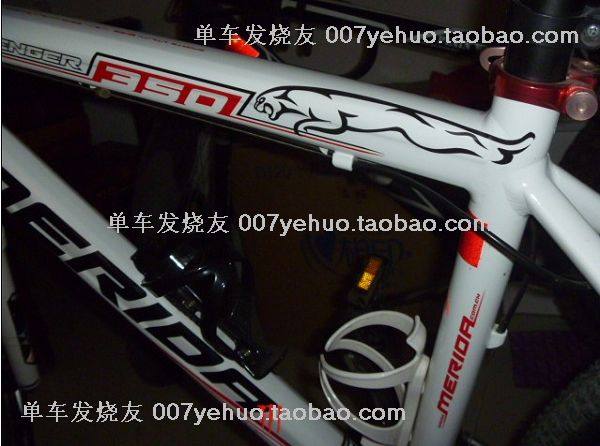 Décoration pour vélo - Ref 2278502 Image 39