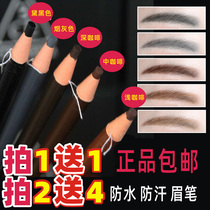 Pull Wire Brow waterproof anti-sweat lady lasting light and delicate and easy to color dark brown black gray