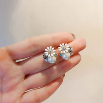 Sweet Daisy Earrings Pearl Flower Temperament Fresh Joker Fashion S925 Sterling Silver Needle Diamond Earrings Simple Women