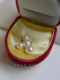 ins Blogger Fever's Same Style Shijia Bright Round Pearl 925 Sterling Silver Earrings for Women, Simple and Retro Style