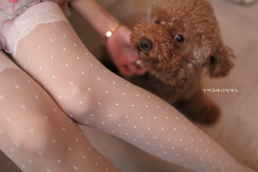 Siêu mỏng retro đùi ren quần trắng polka-dot ren vớ công chúa Nhật vớ vớ đen vớ chống móc tất nữ cổ ngắn