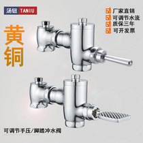 Pedal foot-stepped flush valve horizontal squatting flush flush valve stool flushing valve hand press type toilet time-lapse valve