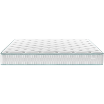 Lins home spring mattress 20cm thick bedroom Home Spine Hard Mat 1 8 m Hotel Special Lins wood industry